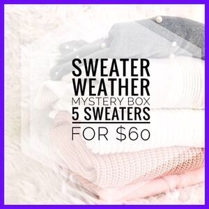 Sweater Weather Mystery Box 5 sweaters Sizes S & M